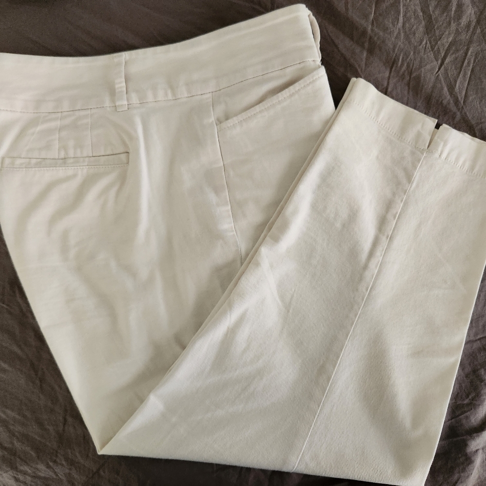 LOFT Original Crop size 10